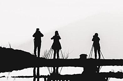 在《猎人：荒野的召唤》全新的澳大利亚地图中寻找鳄鱼和袋鼠吧！